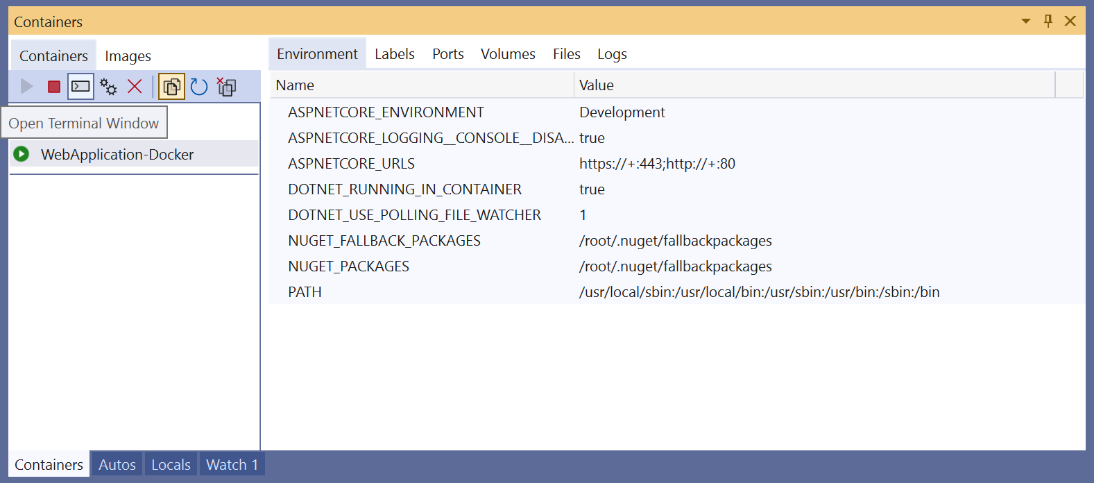 Screenshot: „Terminalfenster öffnen“ im Fenster „Container“