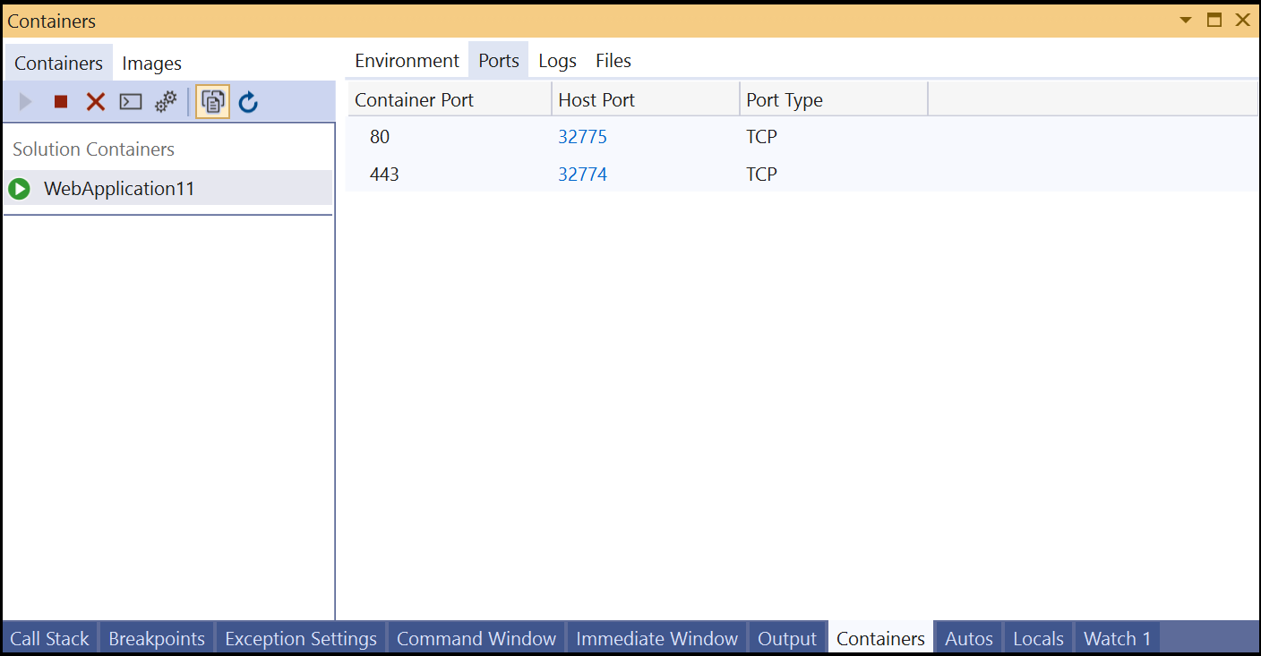 Screenshot: Registerkarte „Ports“ im Fenster „Container“