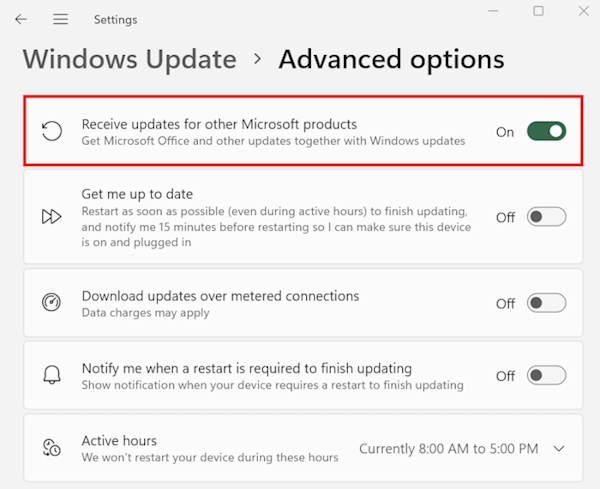 Windows Update Advanced-Optionen