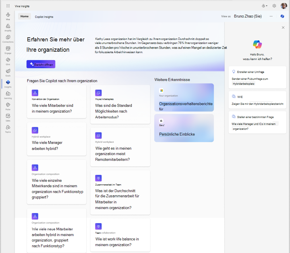 Screenshot: Copilot-Berichte für organization Erkenntnisse