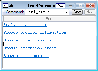 Screenshot der standardmäßigen DML-Startausgabe.