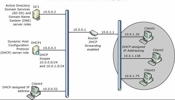 Übersicht über die DHCP-Netzwerktopologie