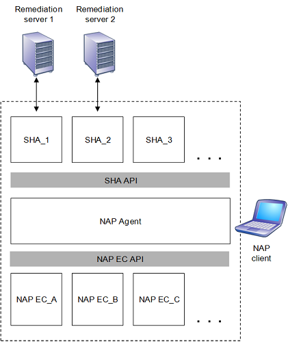 Architektur der Nap-Plattform auf einem NAP-Client