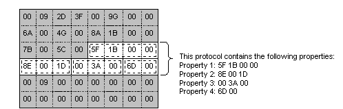 ein Frame, der ein Protokoll instance enthält