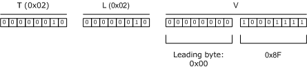 der encoding of boolean data type