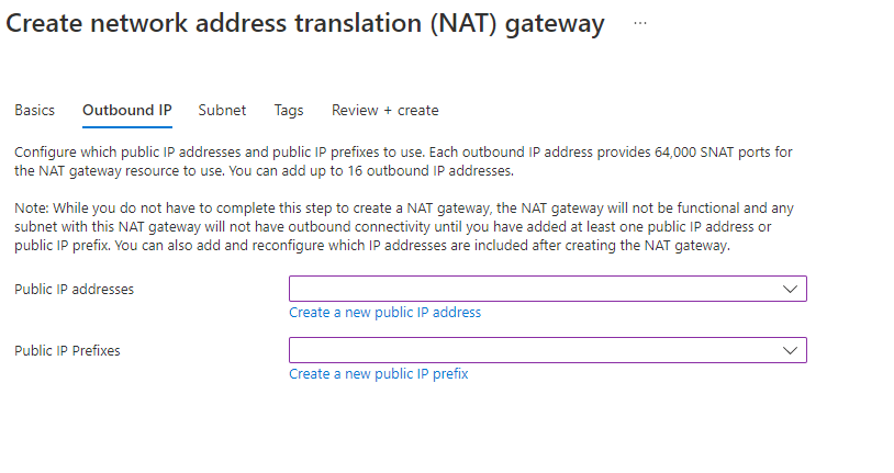 Screenshot that shows public IP information for a NAT gateway.