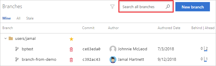 Screenshot shows search and filter branches viewed using the search all branches field.