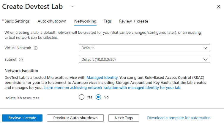 Screenshot of the Networking tab in the DevTest Labs creation form.