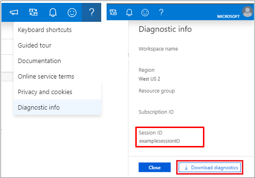 Screenshot from the Azure portal of Diagnostic info.