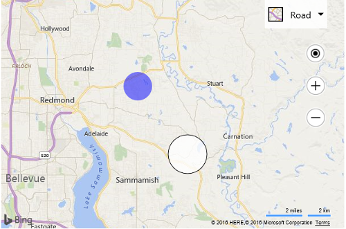 Screenshot of the Bing map showing a blue circle pushpin and a white pushpin with a black outline in the center of the map.