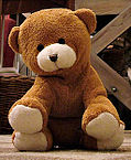 teddy bear image