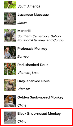 Screenshot of a CollectionView vertical list with end snap points.