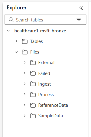 A screenshot displaying the OneLake folders for healthcare data solutions.