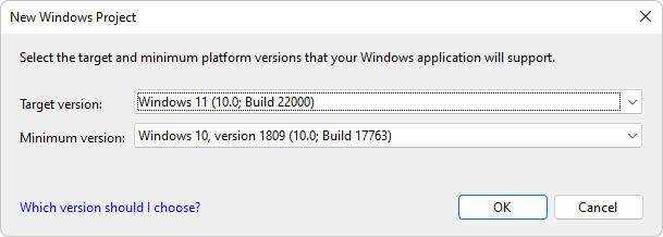 The 'New Windows Project' dialog