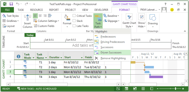 Using the task path properties to highlight tasks