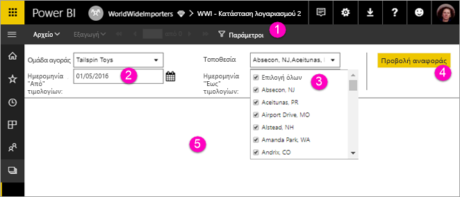 Screenshot showing View paginated report with parameters.