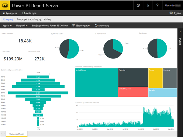 Power BI report in the web portal