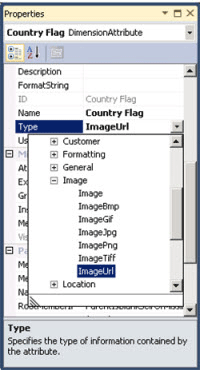 ImageURL dimension in SSDT