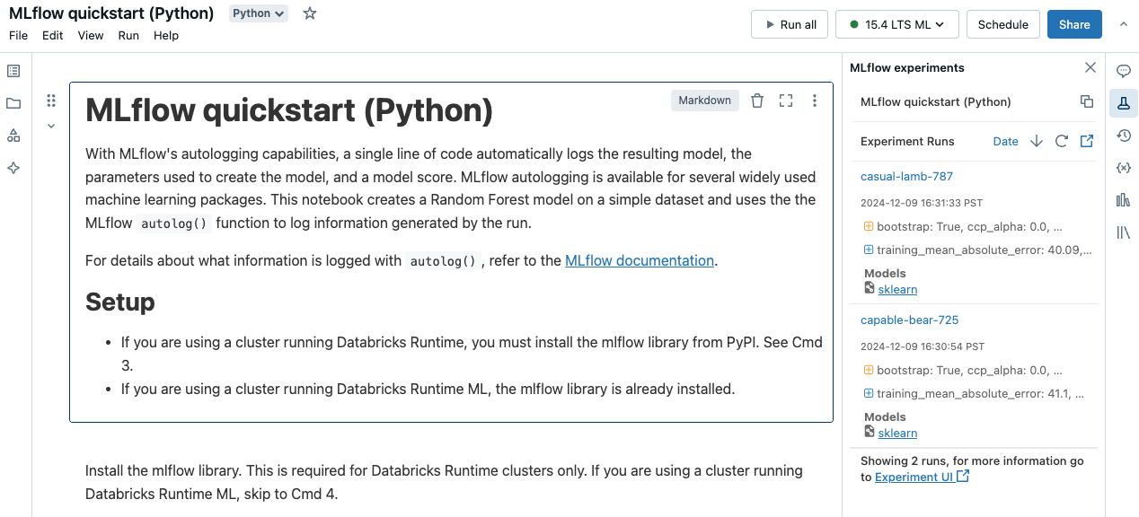 View run parameters and metrics