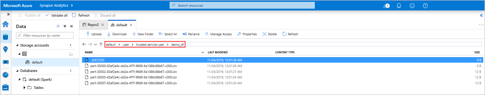 Storage explorer view of the output