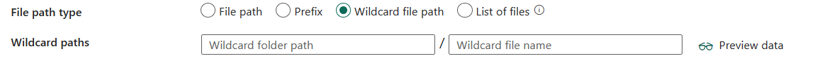 Screenshot showing wildcard file path.