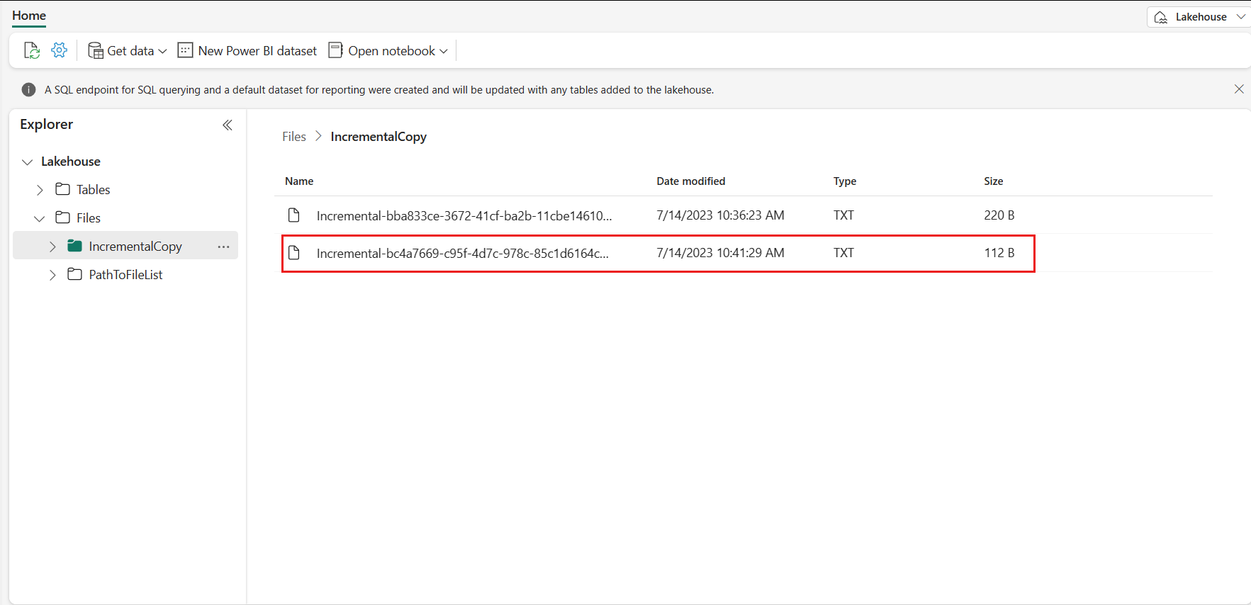 Screenshot showing lakehouse data for the second pipeline run.