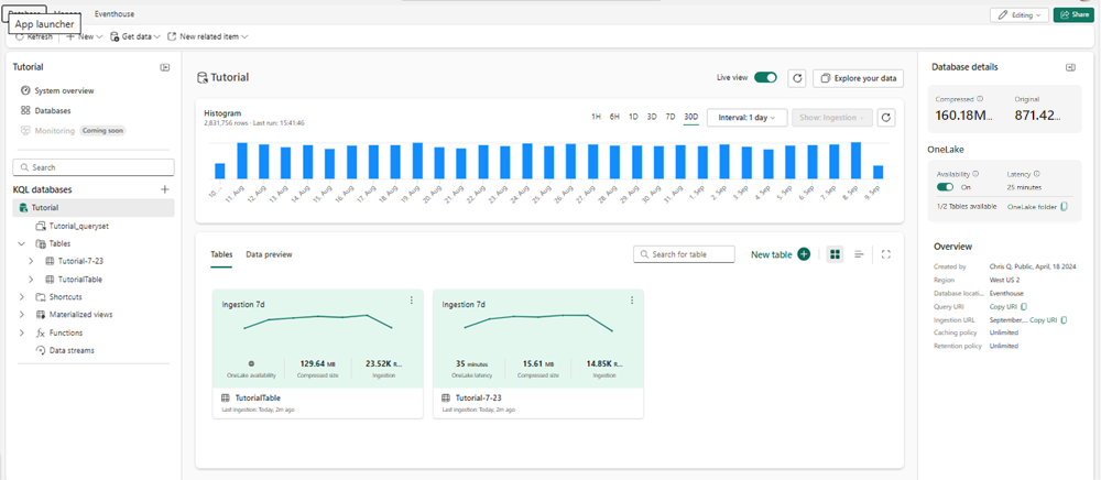 Screenshot of KQL database main page showing the database details cards.