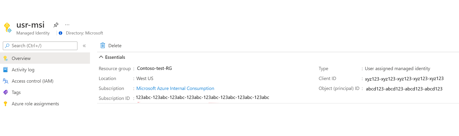 Screenshot that displays the user-assigned Managed Identity.