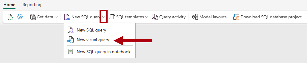 Screenshot of the Home ribbon, highlighting the New visual query option.