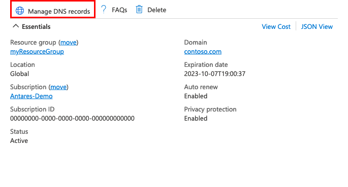 Screenshot that shows where to access the DNS records.