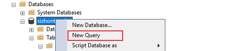 Screenshot that shows how to select your database and create a new query.