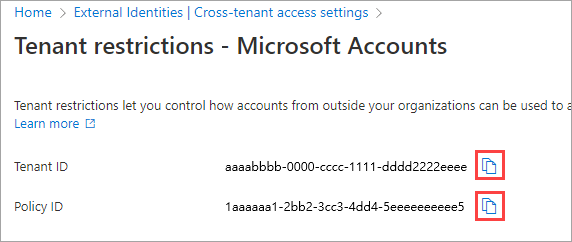 Screenshot showing tenant ID and policy ID.