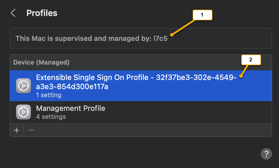 Screenshot showing configuration profiles.