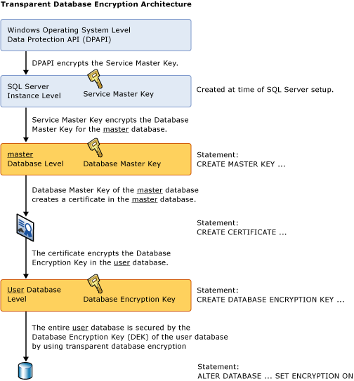 Displays the hierarchy