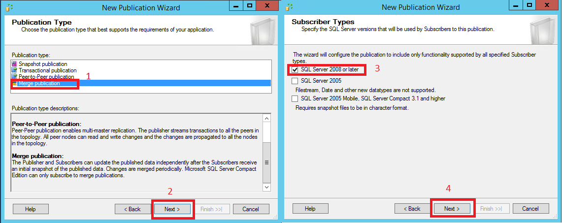 "Publication Type" and "Subscriber Types" pages