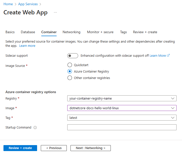 Screenshot showing the Azure Container Registry options.