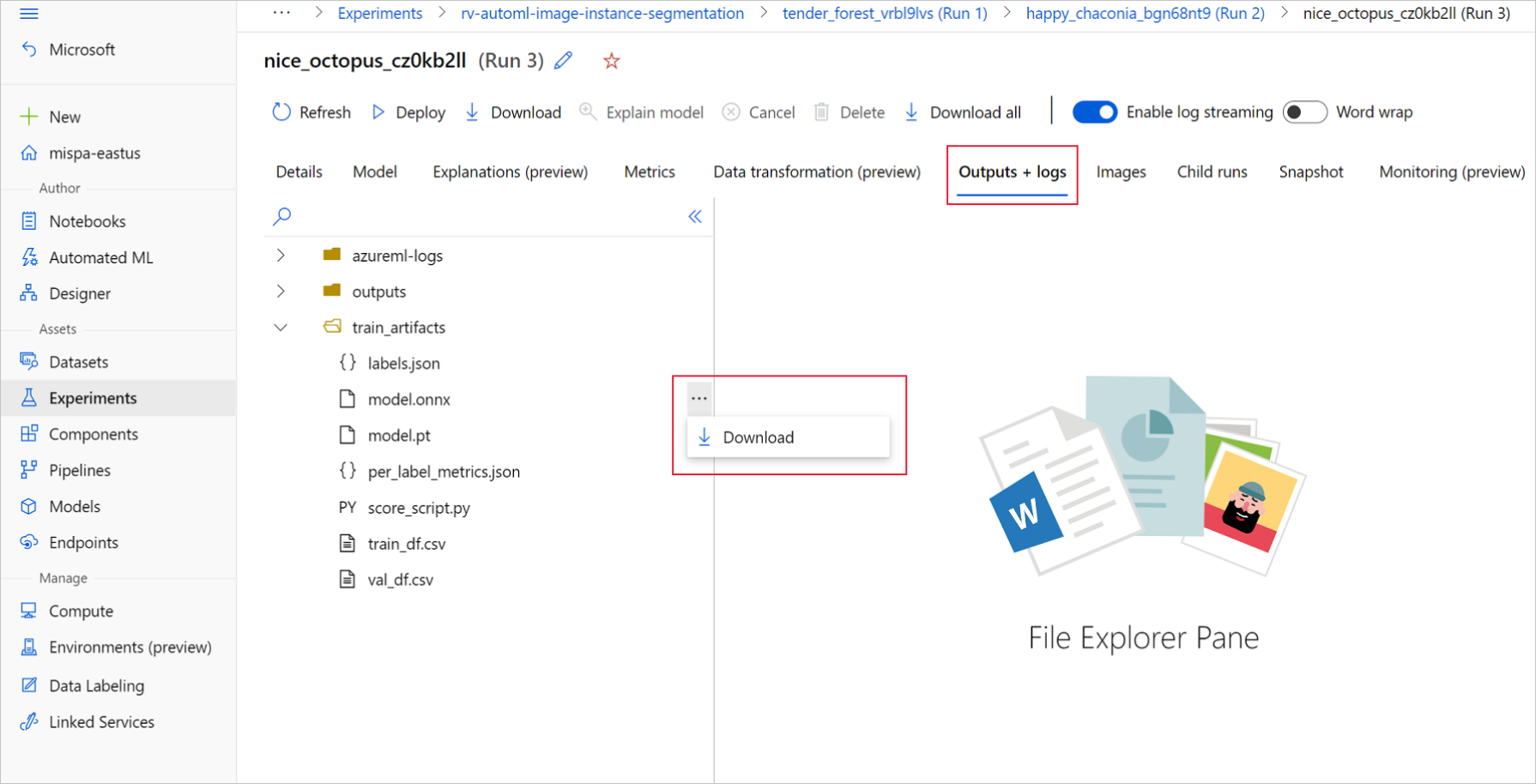 Screenshot that shows selections for downloading ONNX model files.