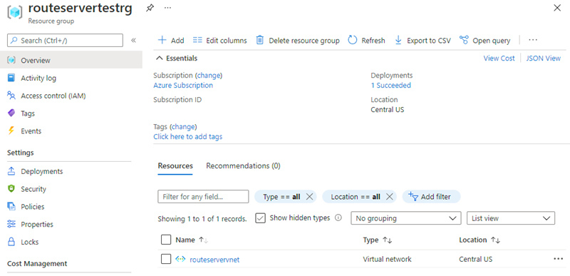 Route Server deployment resource group with virtual network.