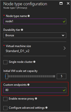 Service fabric node type configuration with custom endpoint