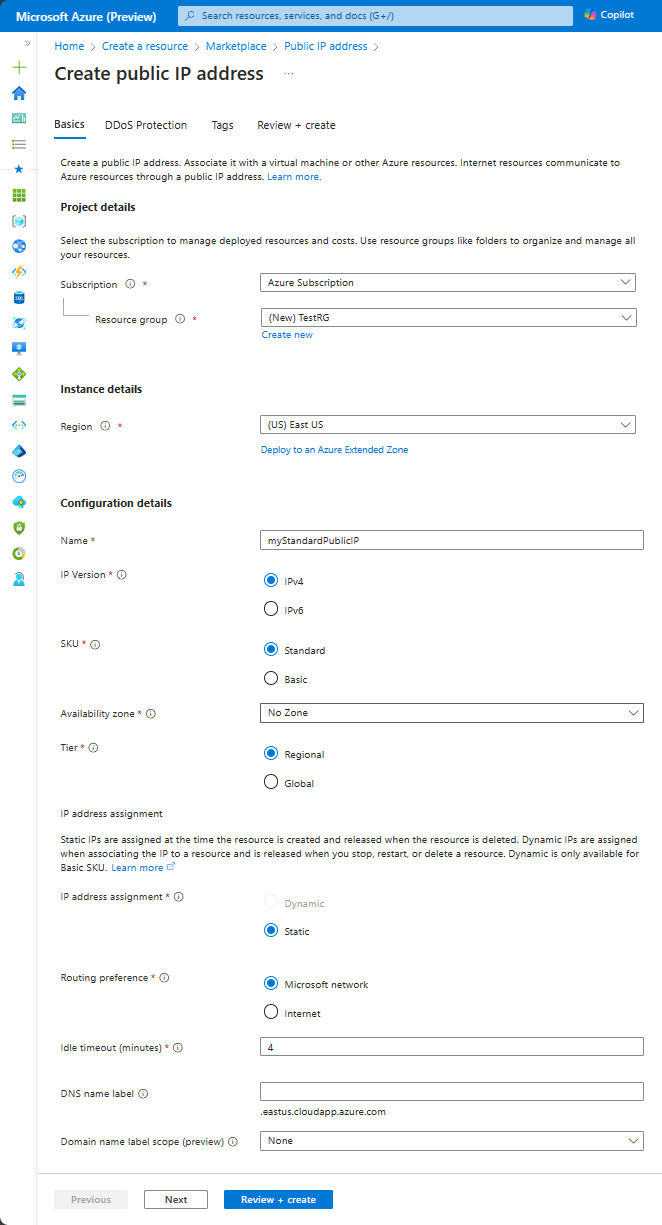 Screenshot that shows the Create public IP address Basics tab settings for a Standard SKU.