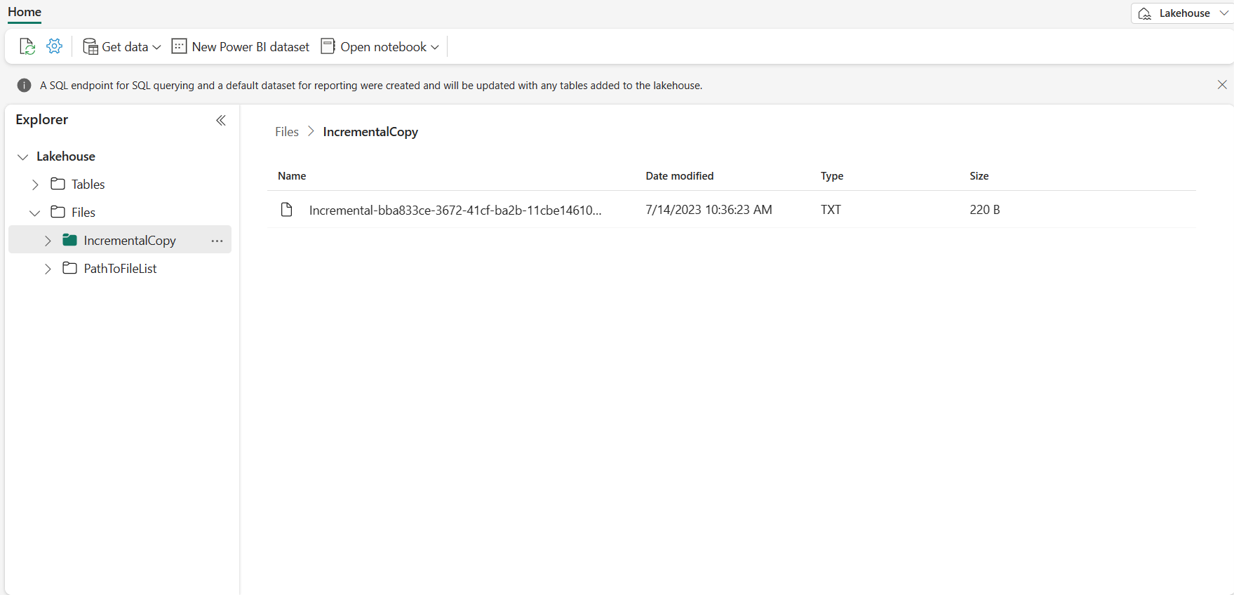 Screenshot showing lakehouse data for the first pipeline run.