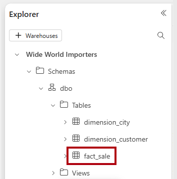 Screenshot of the Explorer pane, highlighting the fact sale table.