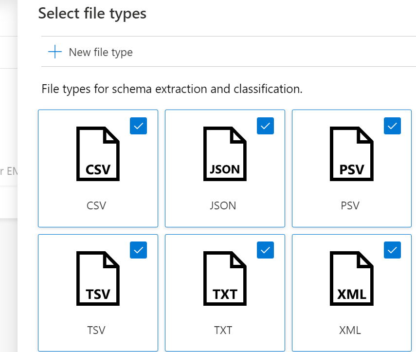 Scan rule set file types