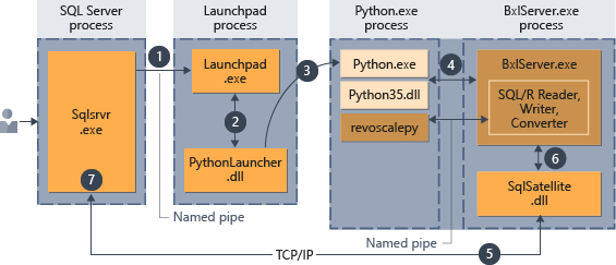 script-in-db-python