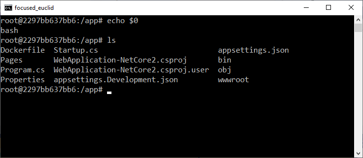 Screenshot of Bash window.