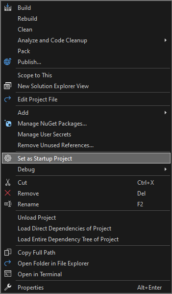 Screenshot that shows setting the startup project.