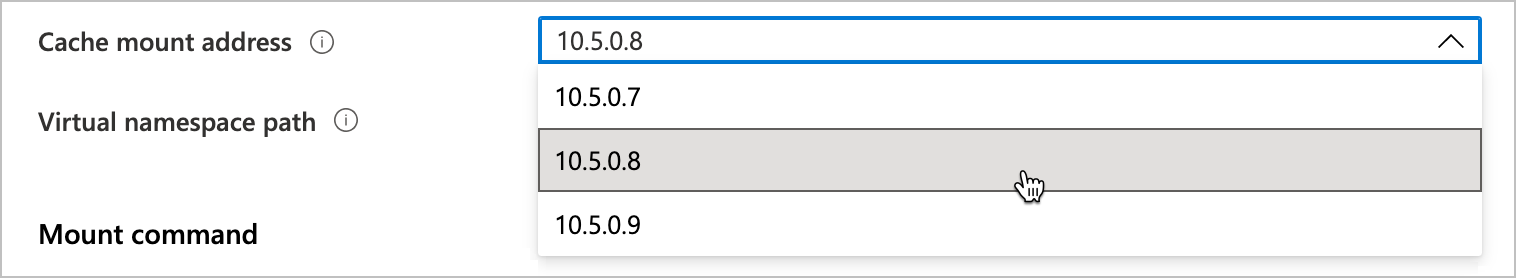 screenshot of the cache mount address field, with selector showing three IP addresses to choose from