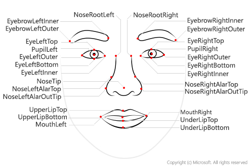 Diagram of a face with all 27 landmarks labeled.