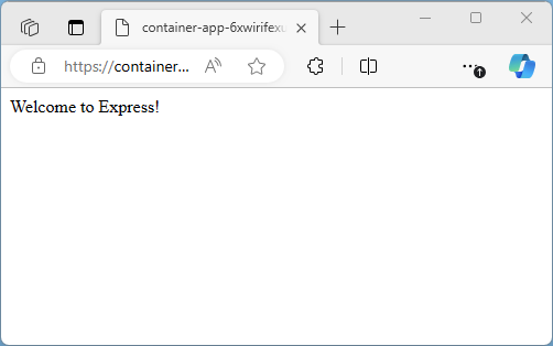 Screenshot Express.JS app running.