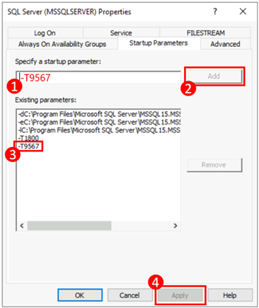 Screenshot that shows startup parameter properties.